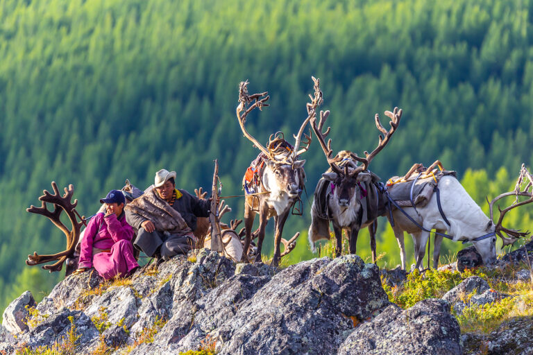 Mongoleireise zu den Tsaatan: Begegnung mit den Rentiernomaden der Taiga