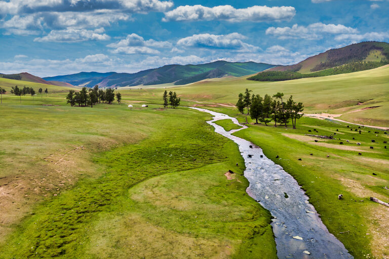 Beste Reisezeit Mongolei: Warum Nordhänge bewaldet sind – ein Blick auf das Mongolei Wetter