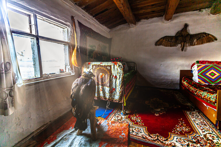 Blogserie –Steinadler weltweit: Was wir von ihnen lernen können