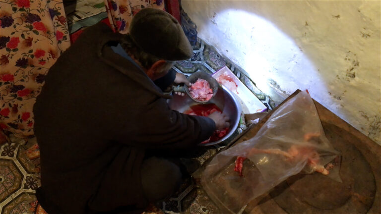 Die Kunst der Fütterung: Wie Adlerjäger im Altai-Gebirge ihre Steinadler leicht und jagdbereit halten